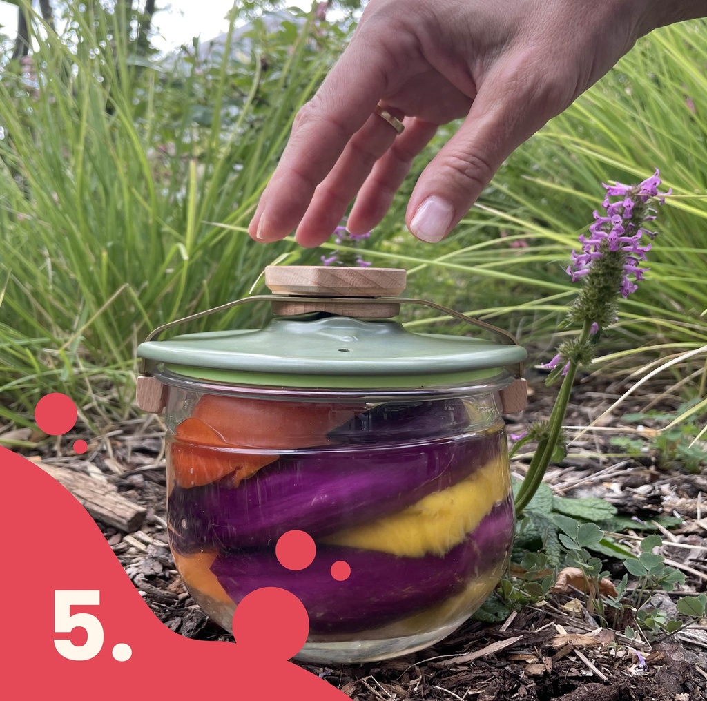 Kurs 5: Verschiedene Arten der Fermentierung